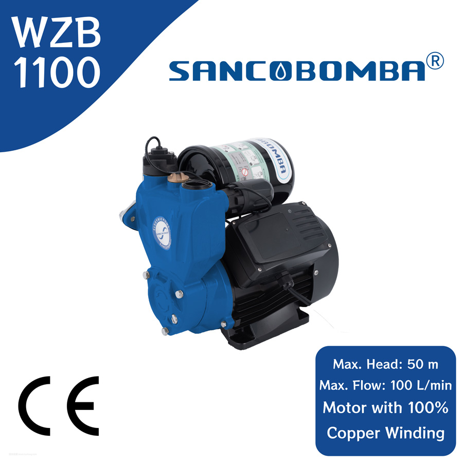 WZB1100.jpg