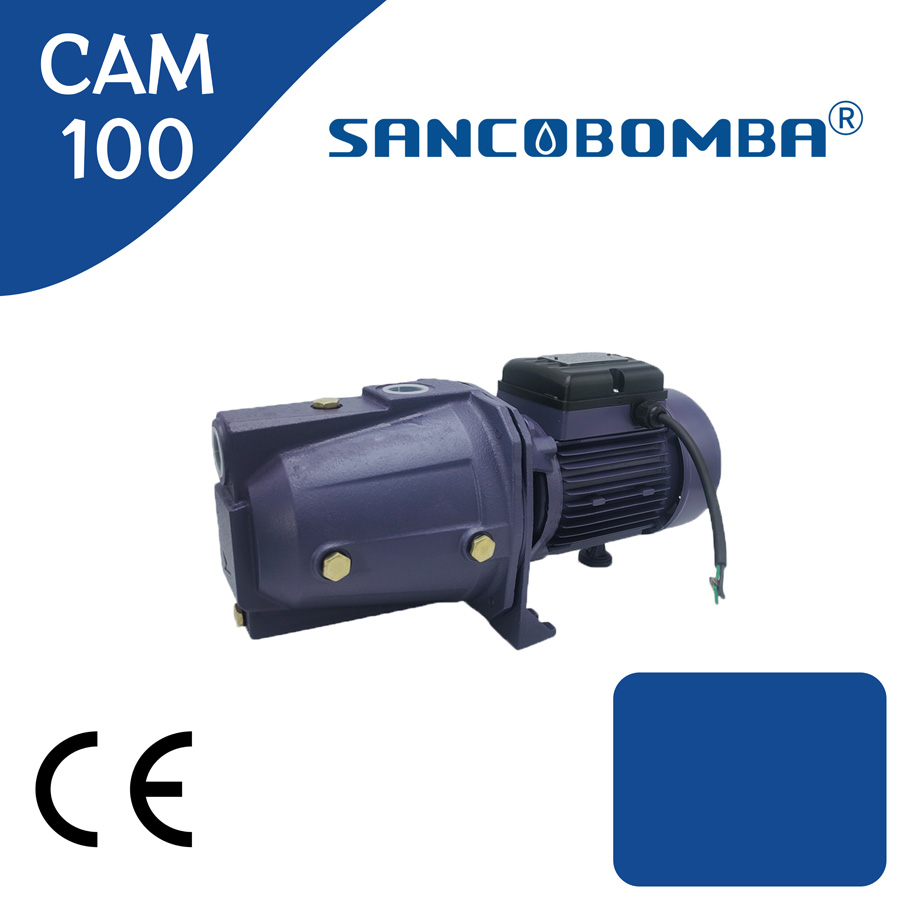 CAM100-3.jpg