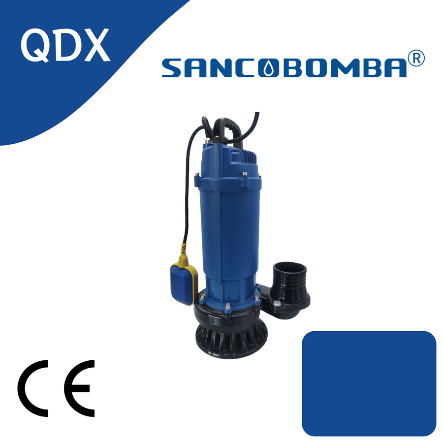 QDX21.jpg